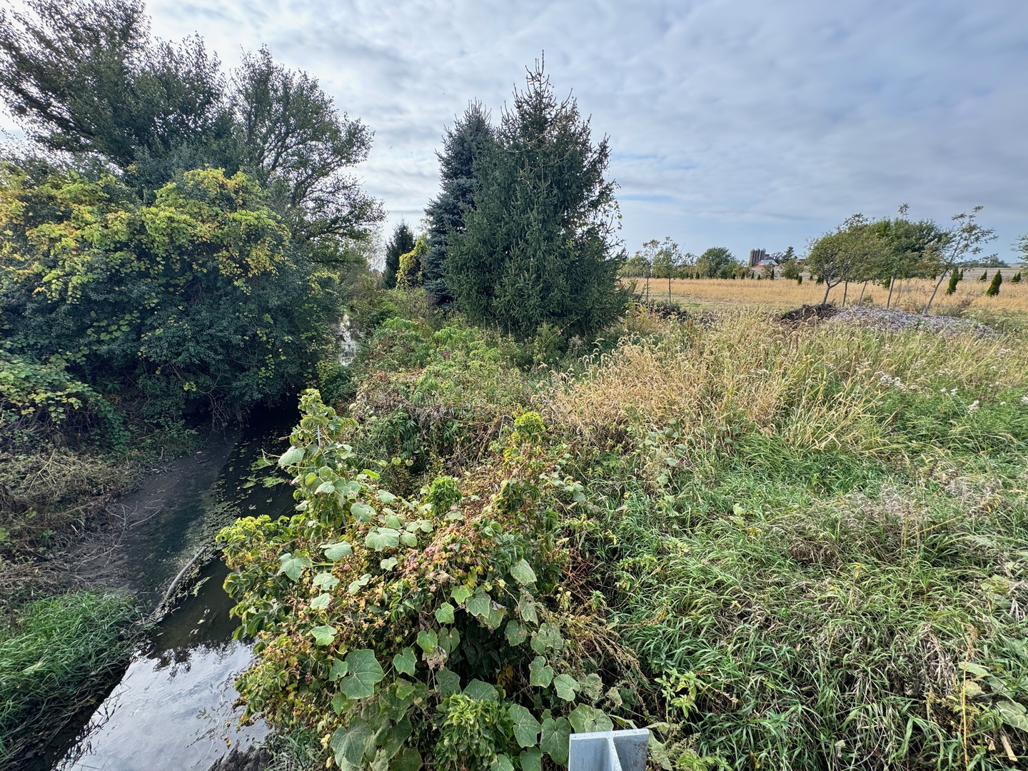 Lot 9 Rowe Road Elburn, IL 60119 - Photo 2 of 9 a view of a lake with a building in the background