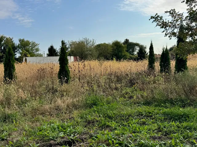 a view of a yard and lake view