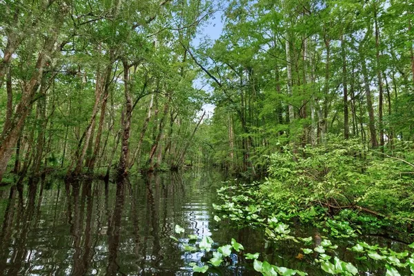 $479,900 | 38 Wrensong Place, St. Augustine, FL 32092