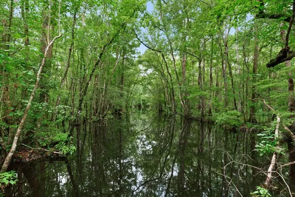 $479,900 | 38 Wrensong Place, St. Augustine, FL 32092