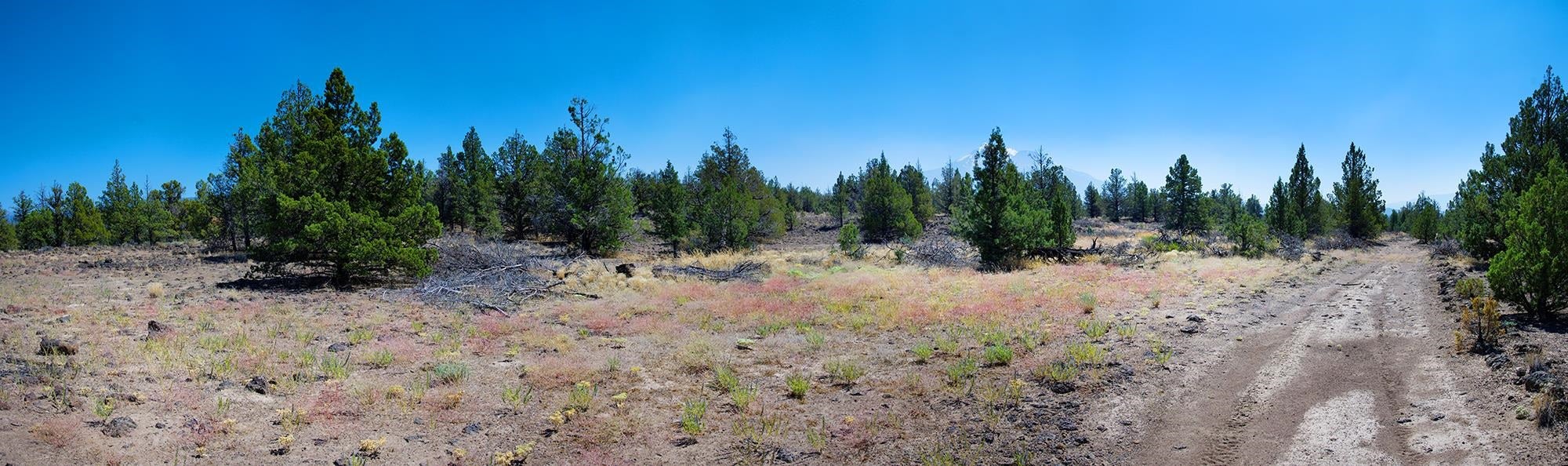 0 East Louie Road Montague, CA 96064 - Photo 17 of 24 Gallery Image 17