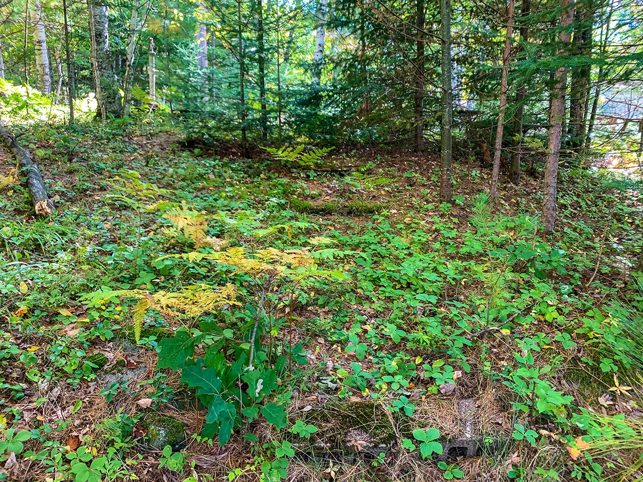 7267 Bluegill Lake Road Lake Tomahawk, WI 54539 - Photo 8 of 23 Gallery Image 8