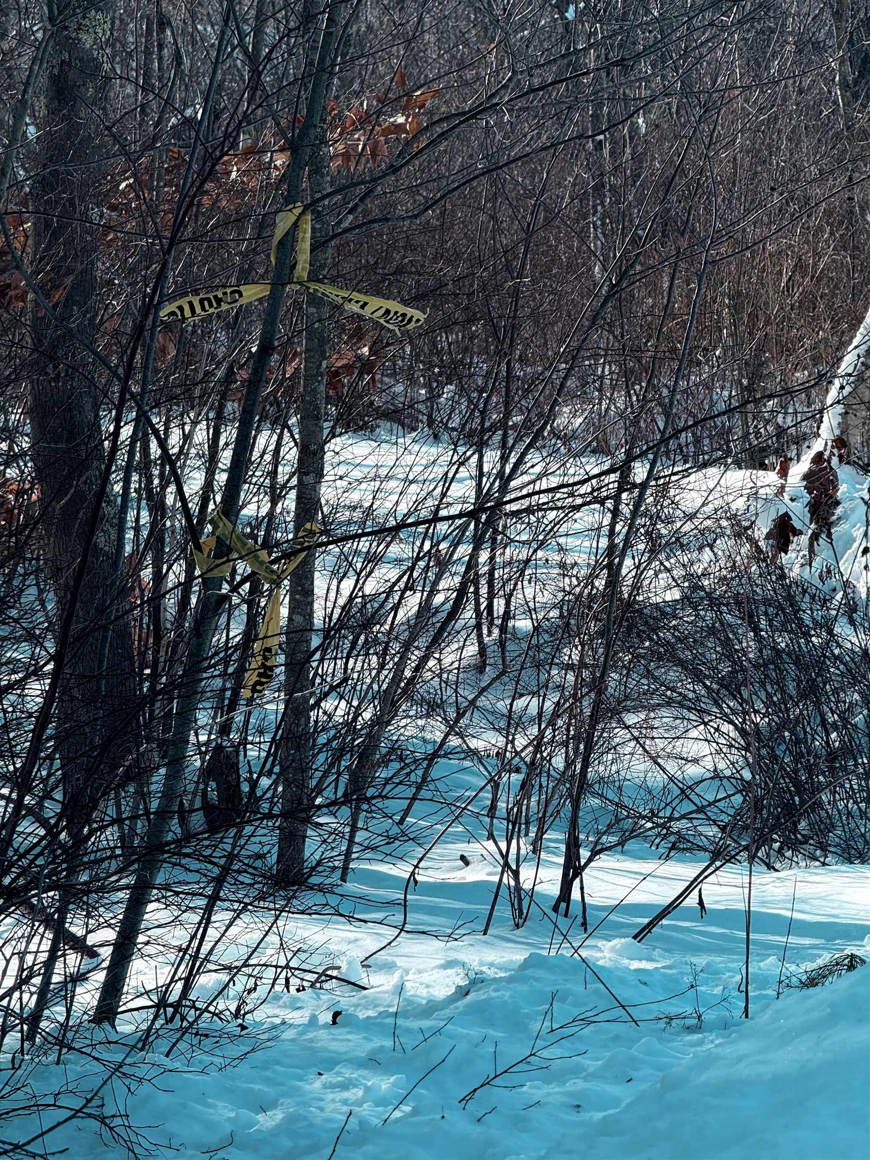 8 Mark Avenue Derry, NH 03038 - Photo 7 of 9