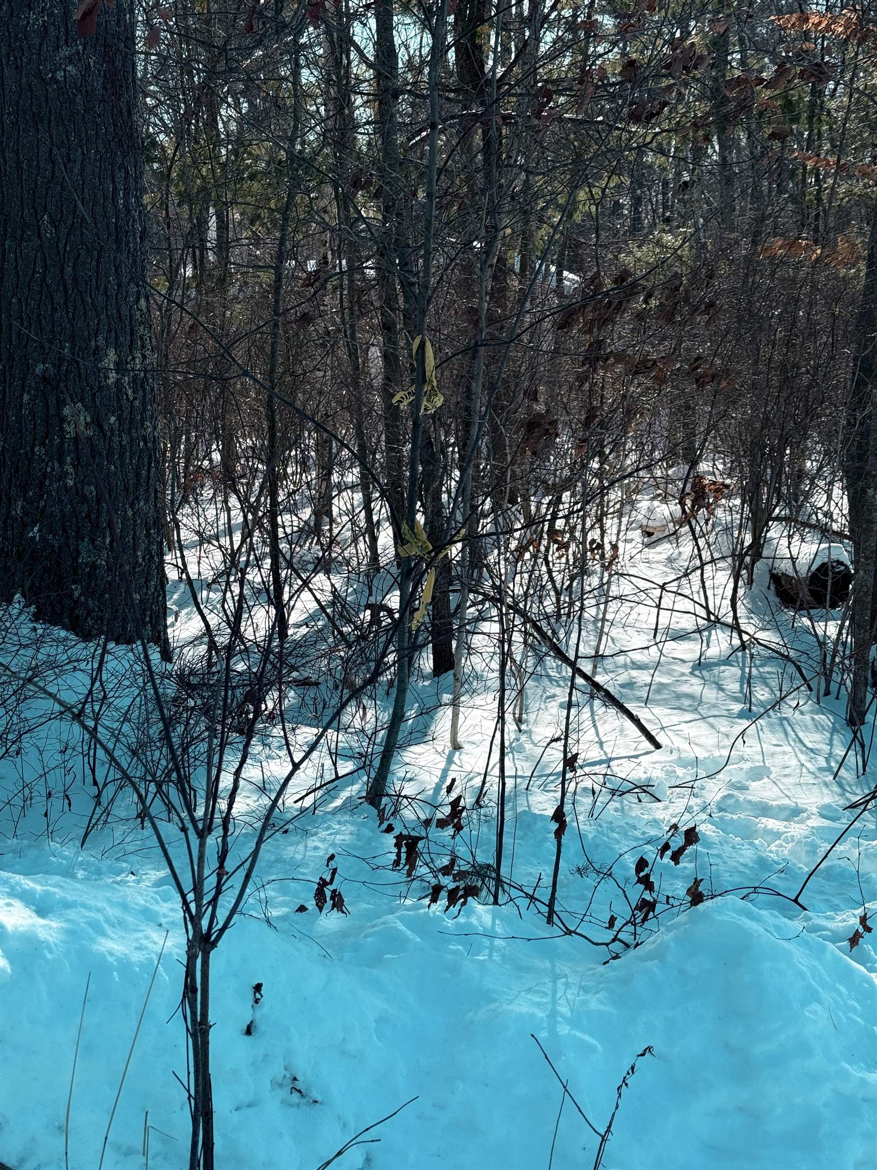 8 Mark Avenue Derry, NH 03038 - Photo 8 of 9