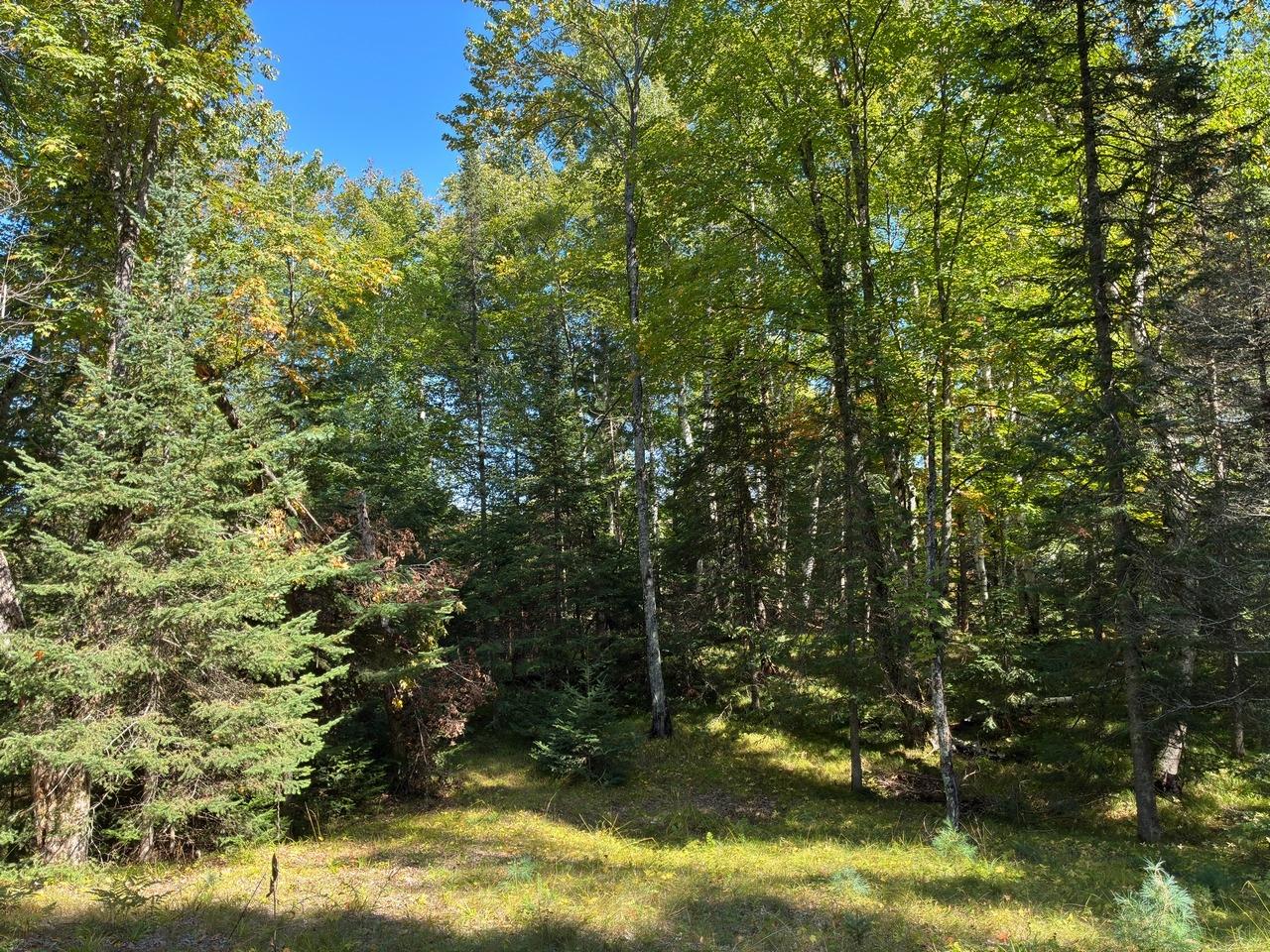 6064 Cramer Lake Road Mercer, WI 54547 - Photo 6 of 47 Gallery Image 6