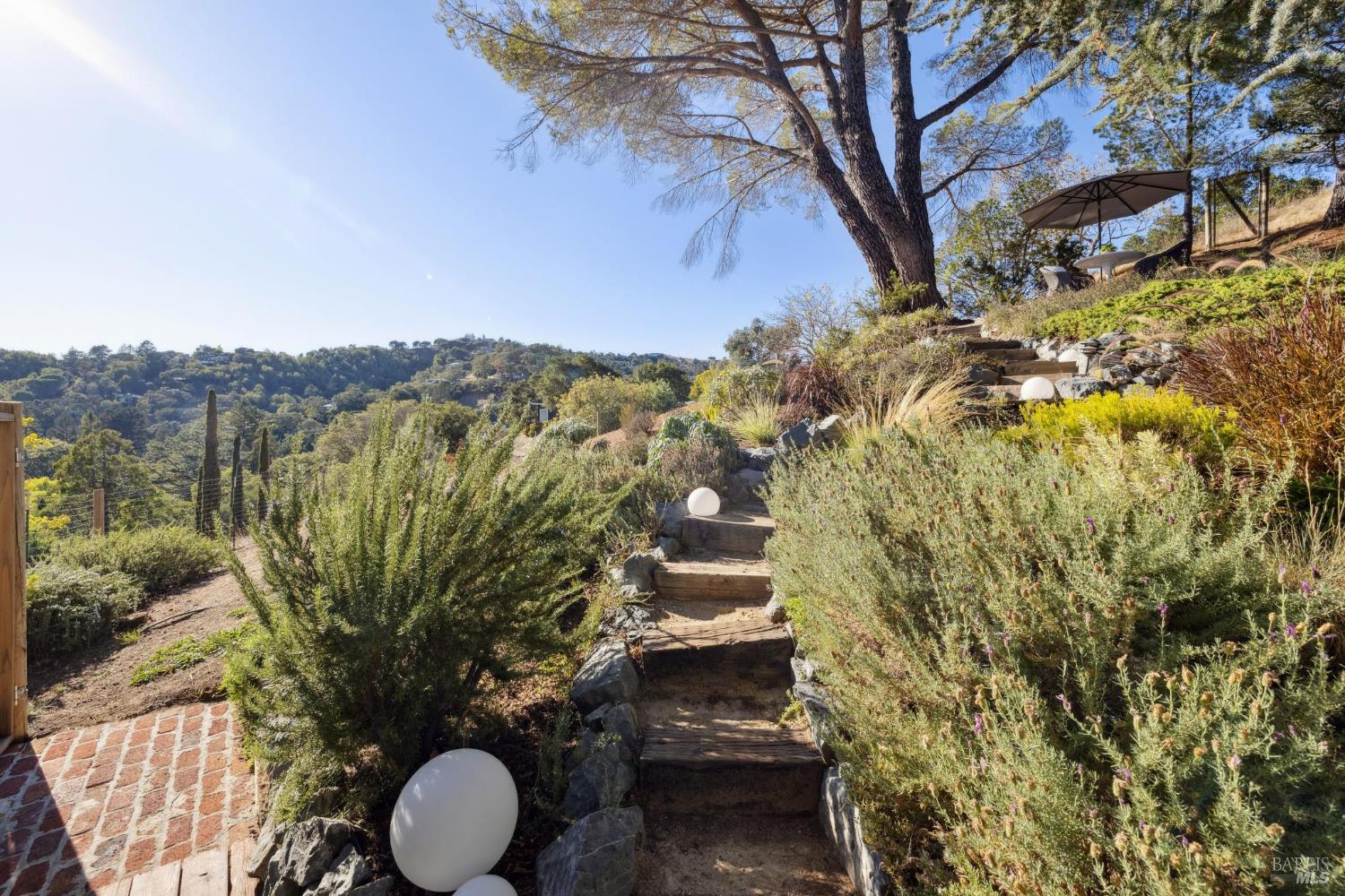 91 Holstein Road San Anselmo, CA 94960 - Photo 50 of 65 a view of a yard with plants and wooden fence