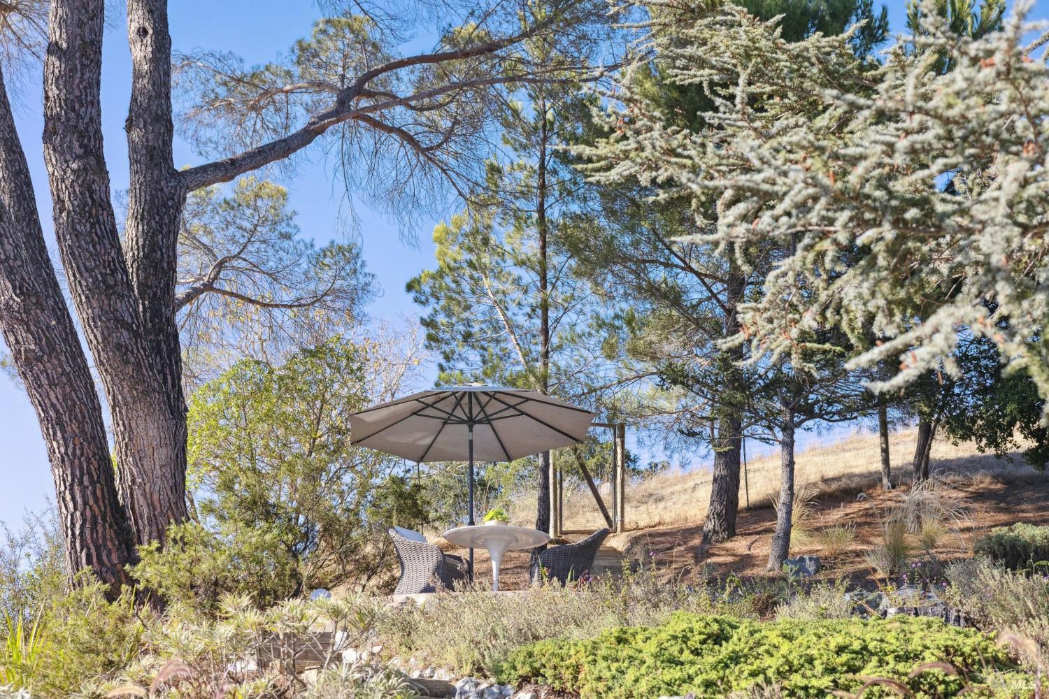 91 Holstein Road San Anselmo, CA 94960 - Photo 52 of 65