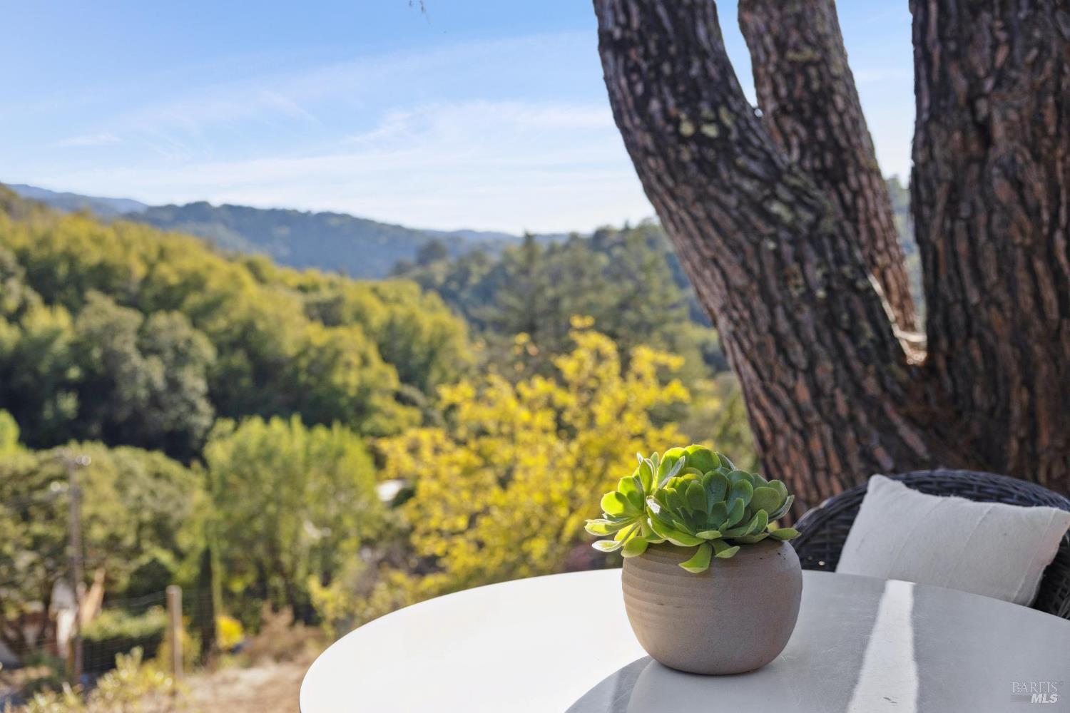 91 Holstein Road San Anselmo, CA 94960 - Photo 55 of 65