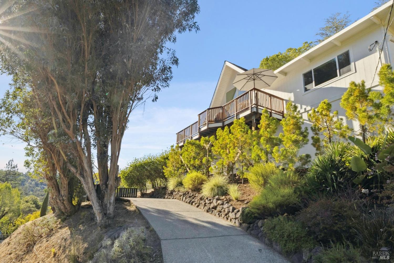 91 Holstein Road San Anselmo, CA 94960 - Photo 65 of 65 a backyard of a house with large trees