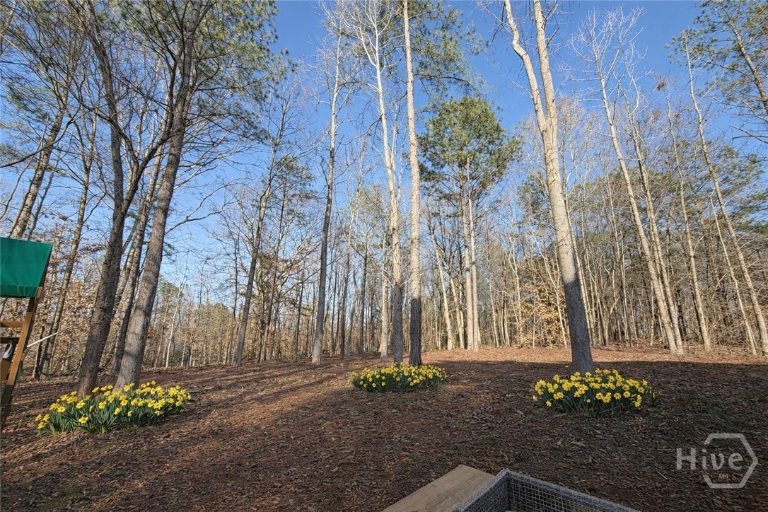 450 Candlestick Drive Hull, GA 30646 - Photo 18 of 19