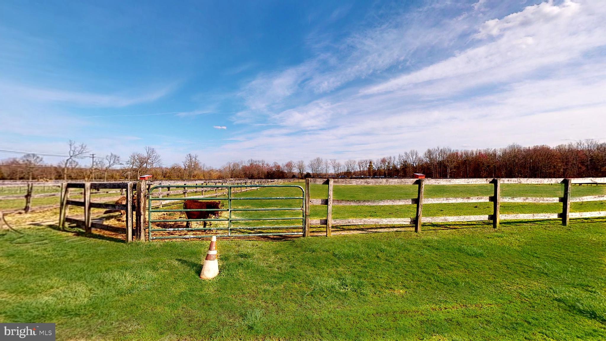 27 Reeves Station Road Medford, NJ 08055 - Photo 12 of 12 Pasture
