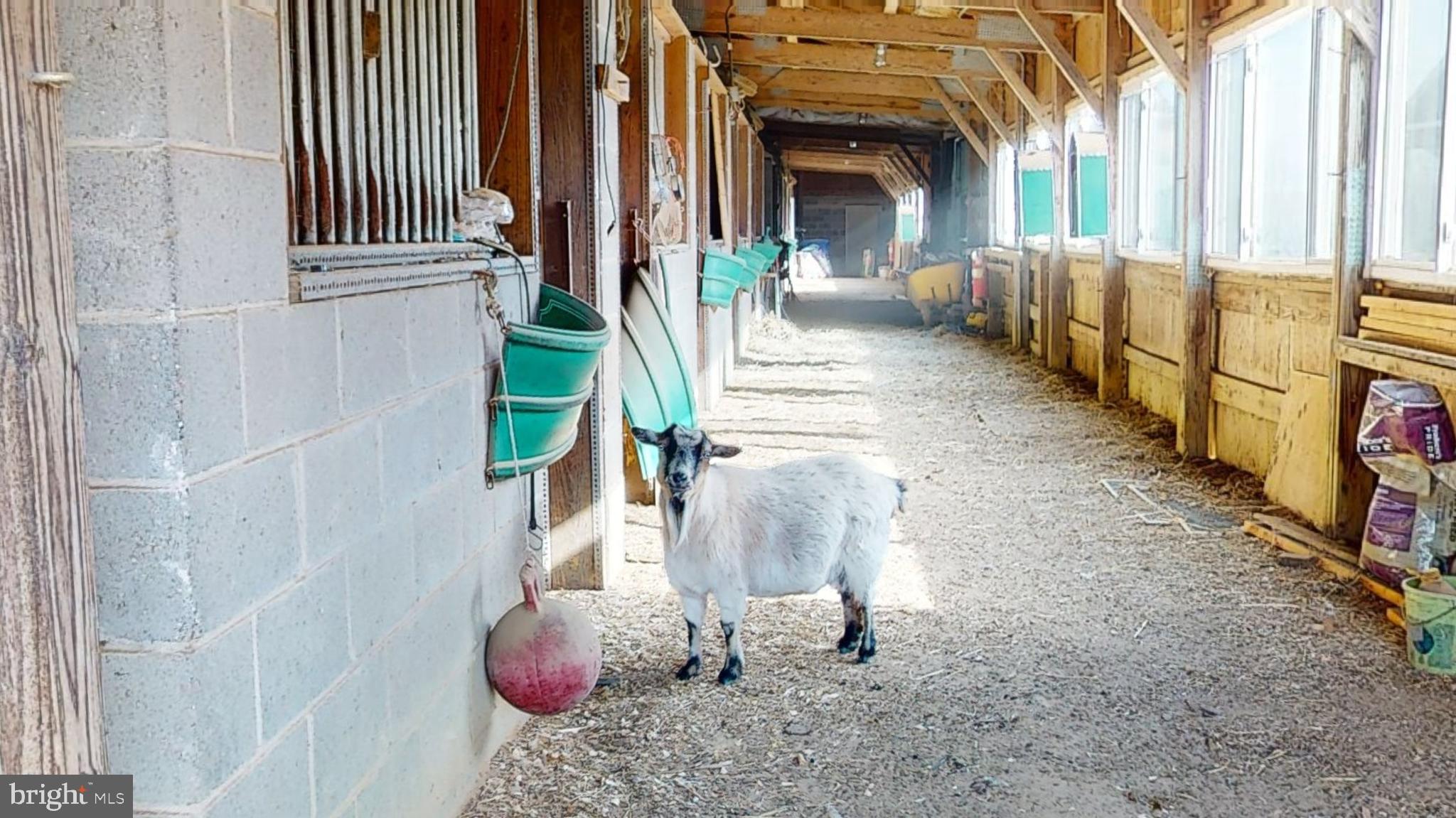 27 Reeves Station Road Medford, NJ 08055 - Photo 6 of 12 barn