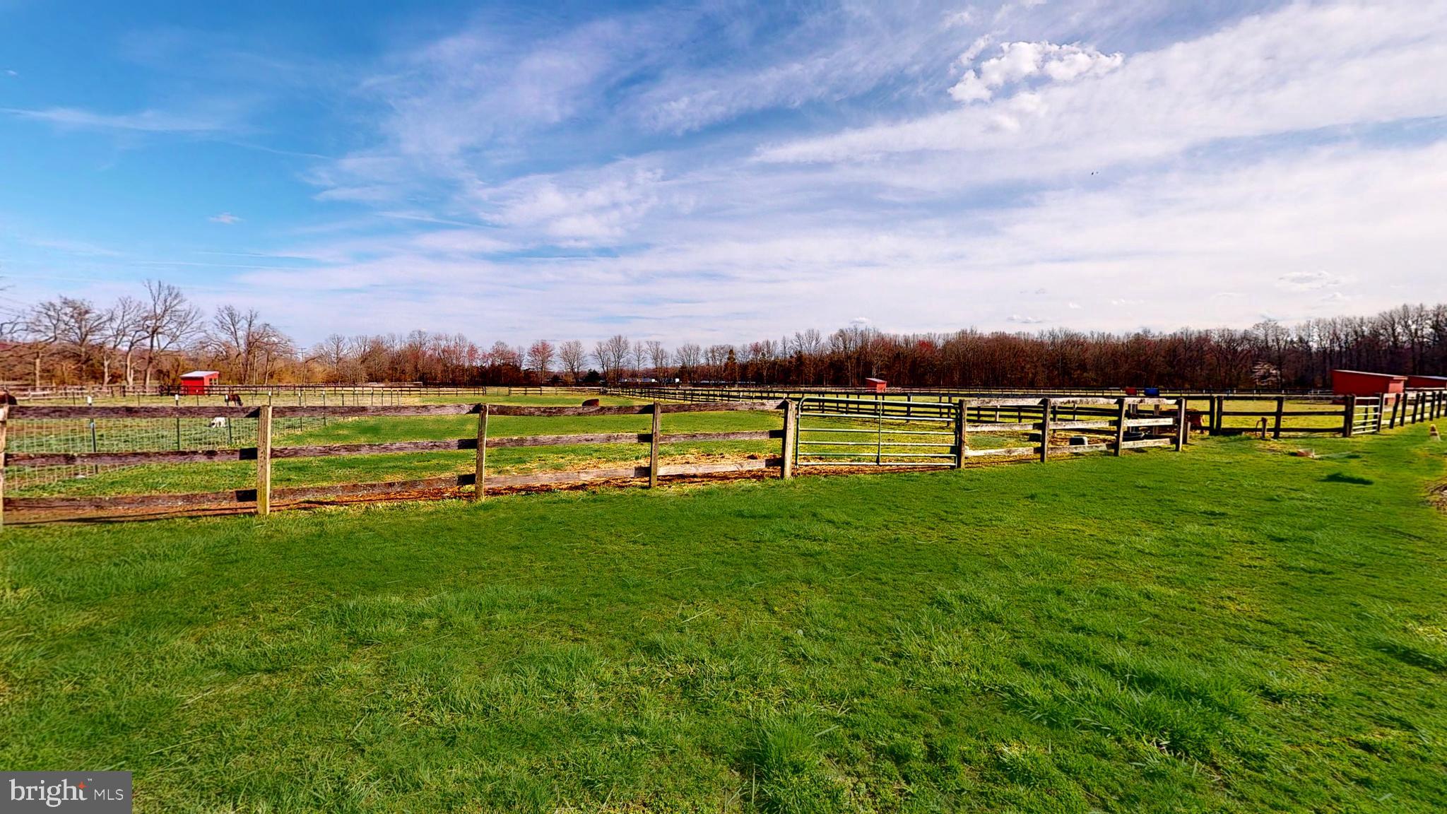 27 Reeves Station Road Medford, NJ 08055 - Photo 10 of 12 Pasture