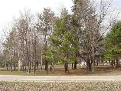 7942 West Hazel Road Mears, MI 49436 - Photo 4 of 4 Additional Photo
