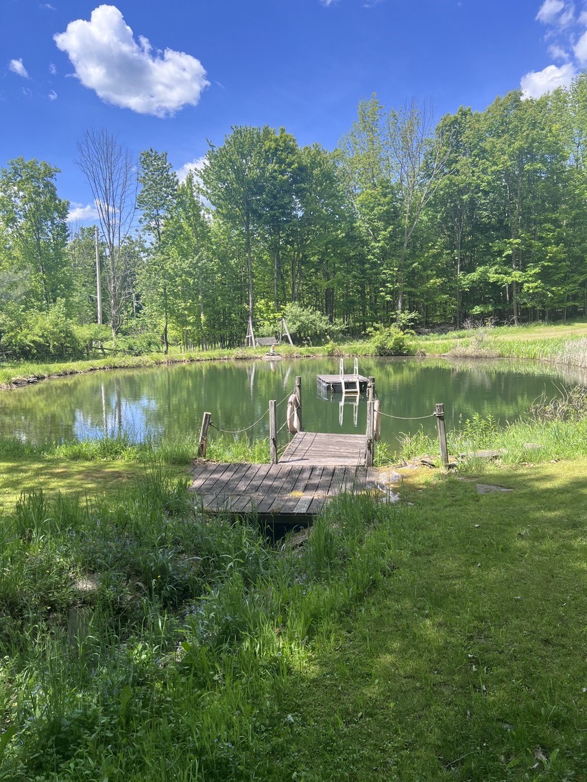 1338 Abe Boice Road Sidney Center, NY 13839 - Photo 12 of 38
