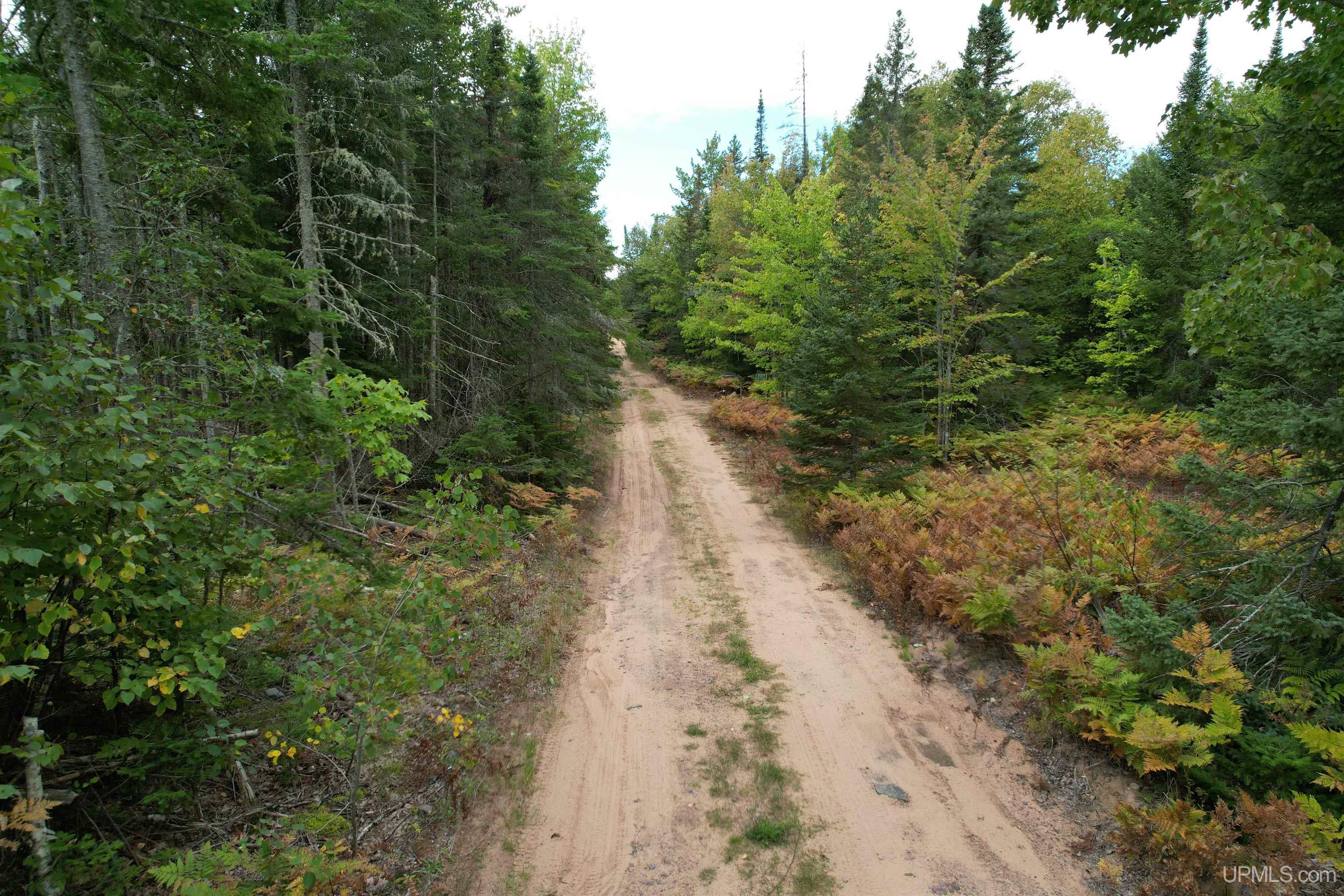 Tbd Evergreen Road Toivola, MI 49965 - Photo 61 of 62