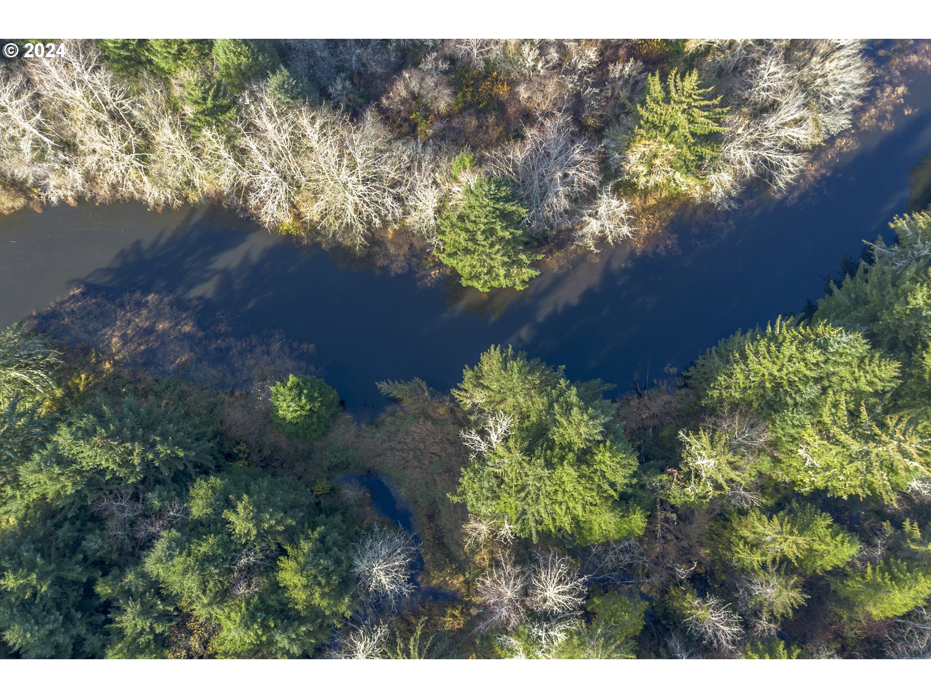 Walluski Loop Astoria, OR 97103 - Photo 15 of 20