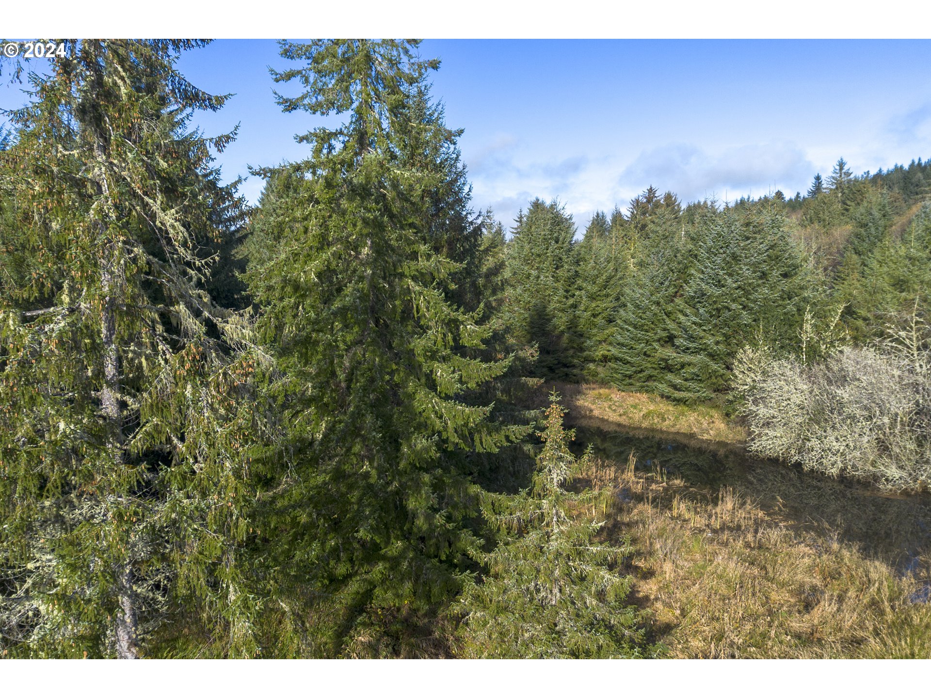 Walluski Loop Astoria, OR 97103 - Photo 18 of 20