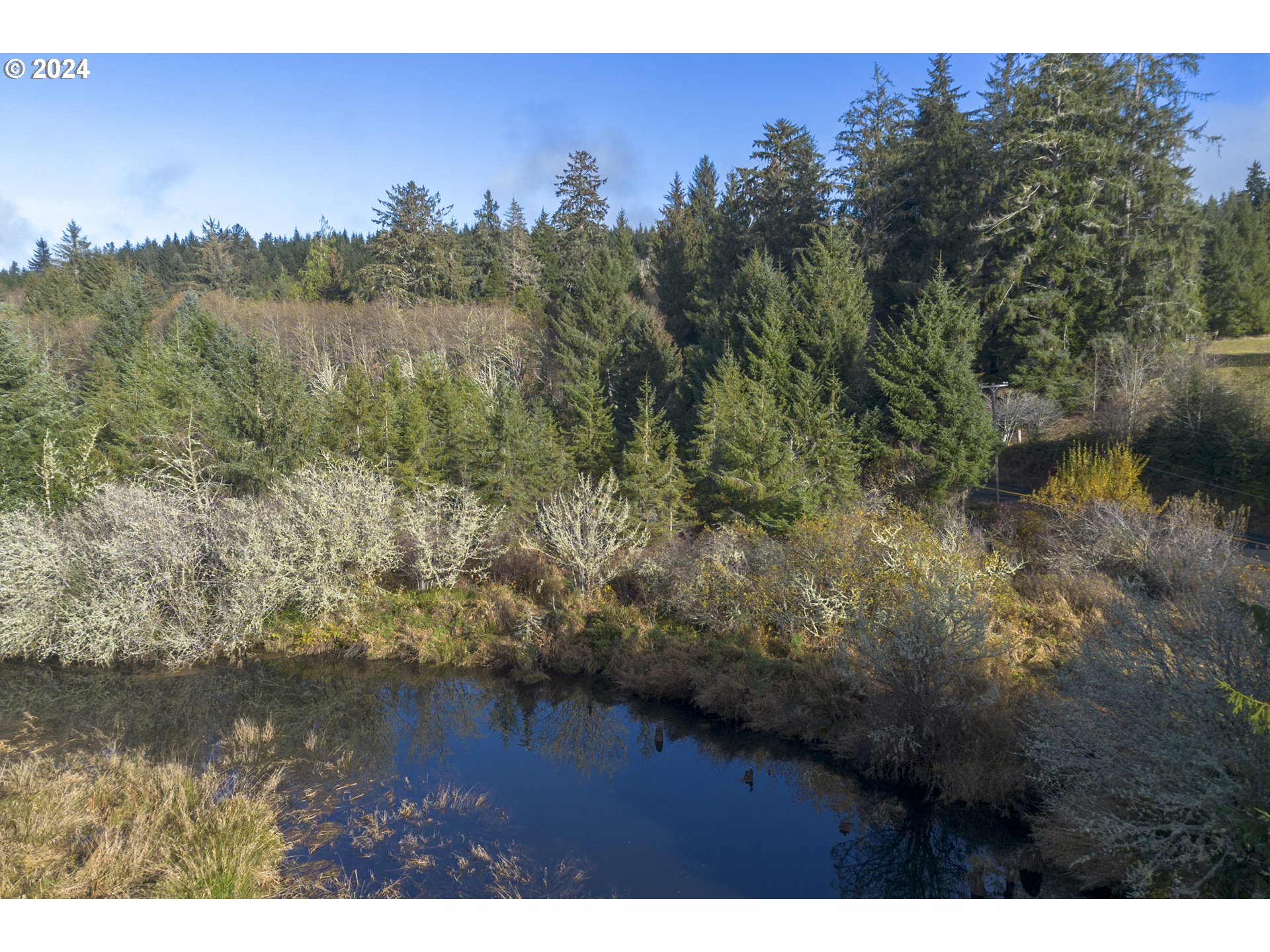 Walluski Loop Astoria, OR 97103 - Photo 19 of 20