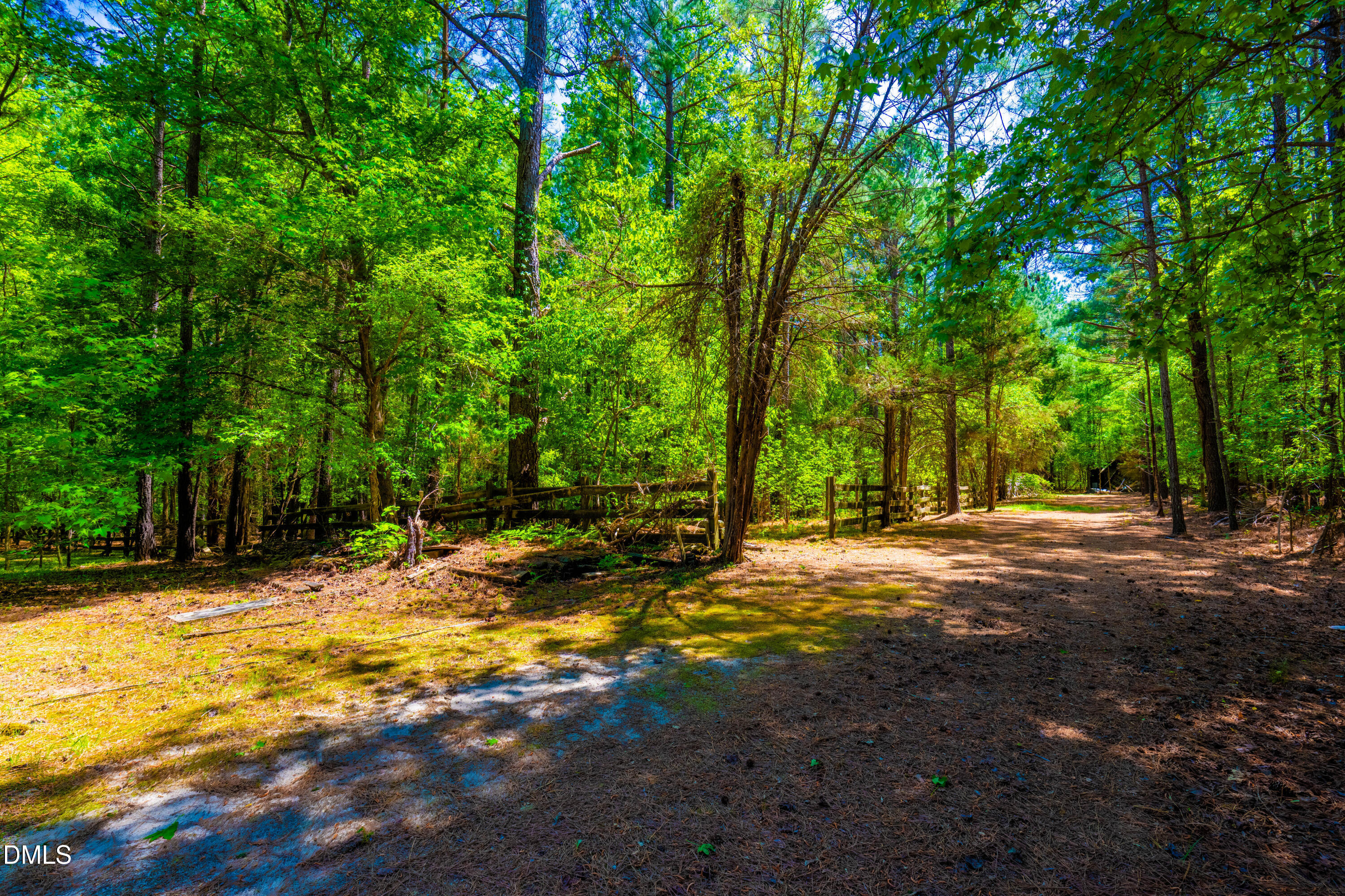 2510 Tody Goodwin Road Apex, NC 27502 - Photo 12 of 30 a view of a yard with large trees