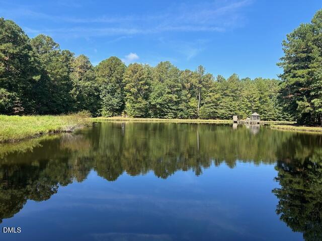 2510 Tody Goodwin Road Apex, NC 27502 - Photo 17 of 23 a view of lake