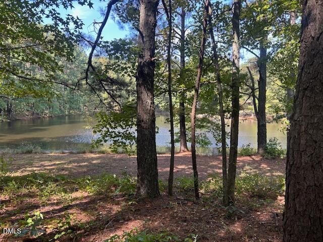 2510 Tody Goodwin Road Apex, NC 27502 - Photo 18 of 23 a view of a lake with lots of trees