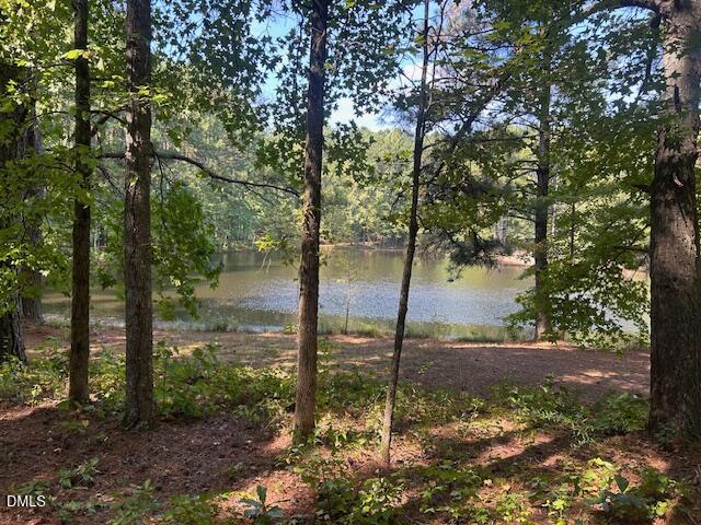 2510 Tody Goodwin Road Apex, NC 27502 - Photo 19 of 23 a view of a tree in the middle of a yard