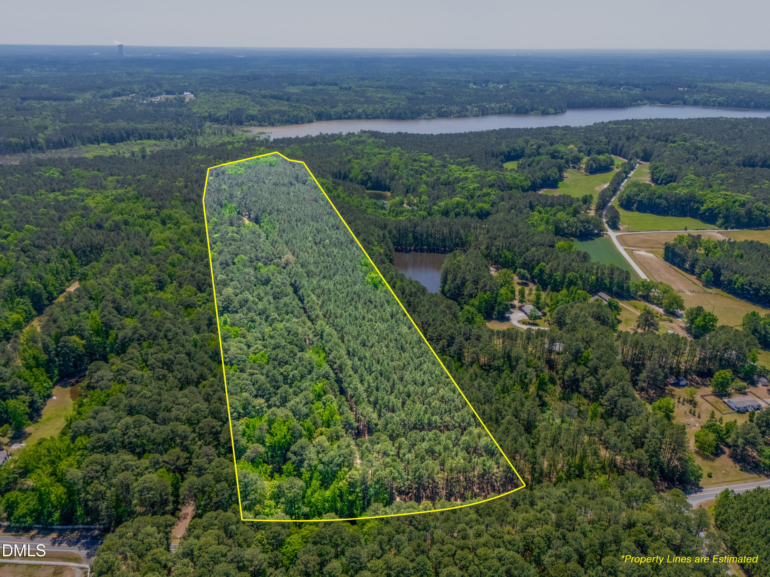 2510 Tody Goodwin Road Apex, NC 27502 - Photo 2 of 30 a view of a lush green forest