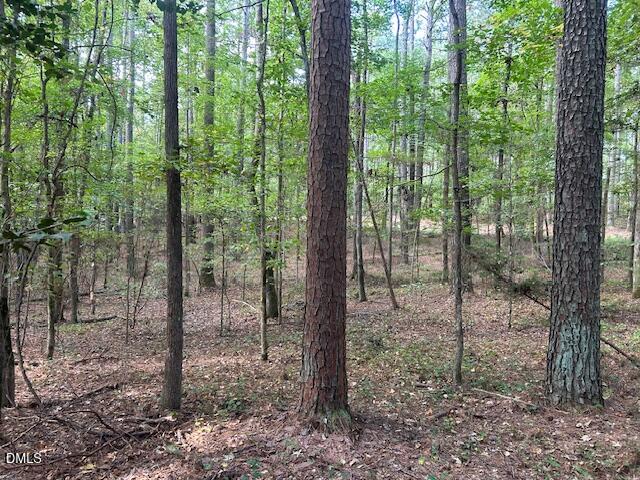 2510 Tody Goodwin Road Apex, NC 27502 - Photo 27 of 30 a view of a forest