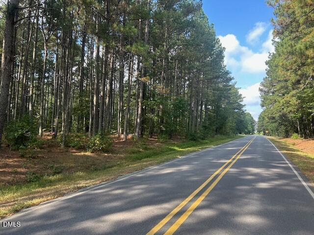 2510 Tody Goodwin Road Apex, NC 27502 - Photo 4 of 23 a view of a yard with large trees