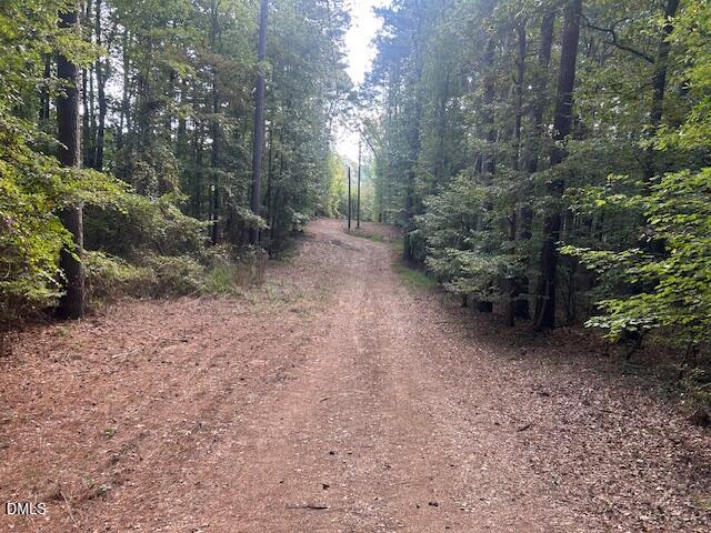 2510 Tody Goodwin Road Apex, NC 27502 - Photo 5 of 23 a view of a forest with trees in the background