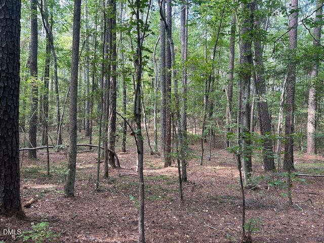 2510 Tody Goodwin Road Apex, NC 27502 - Photo 6 of 23 a view of outdoor space and green space