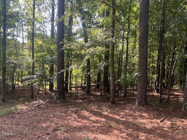 2510 Tody Goodwin Road Apex, NC 27502 - Photo 7 of 23 a view of outdoor space with lots of trees