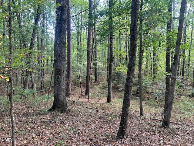 2510 Tody Goodwin Road Apex, NC 27502 - Photo 9 of 23 a view of a forest that has large trees