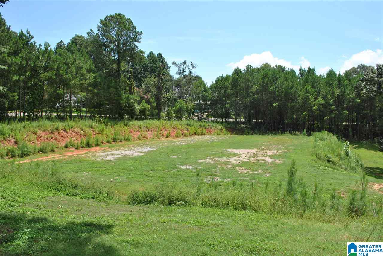 452 Turtleneck Road Alexander City, AL 35010 - Photo 26 of 29