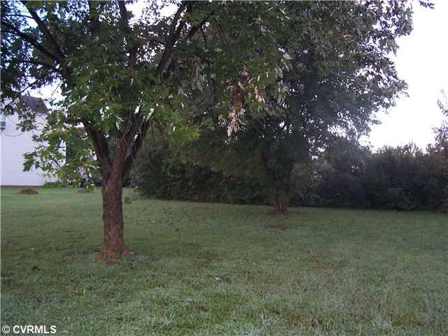 1515 Trailing Ridge Road Henrico, VA 23231 - Photo 12 of 13 Yard/Garden