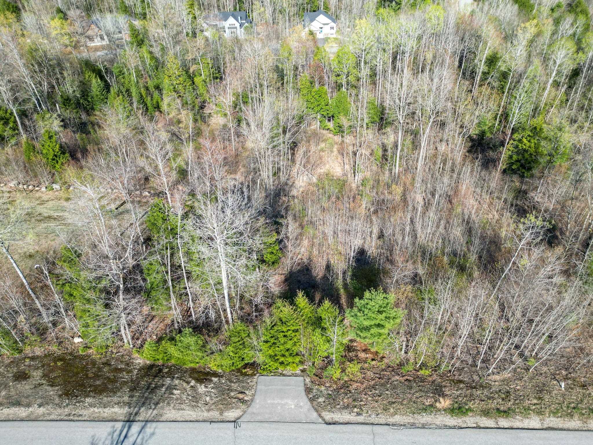 64 Grandview Road Conway, NH 03818 - Photo 3 of 15