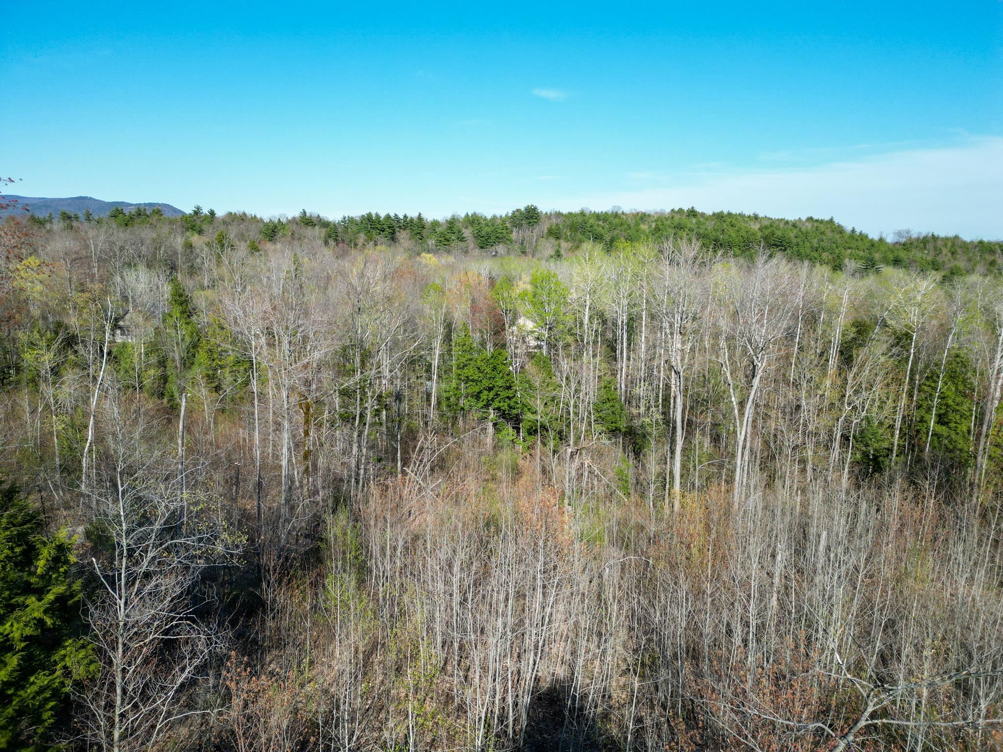 64 Grandview Road Conway, NH 03818 - Photo 5 of 15