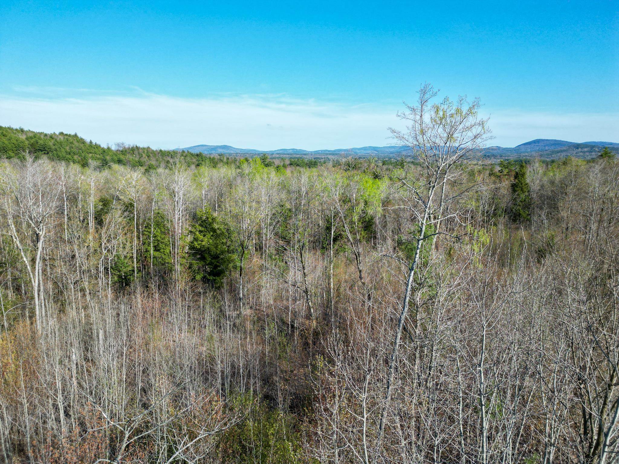 64 Grandview Road Conway, NH 03818 - Photo 6 of 15