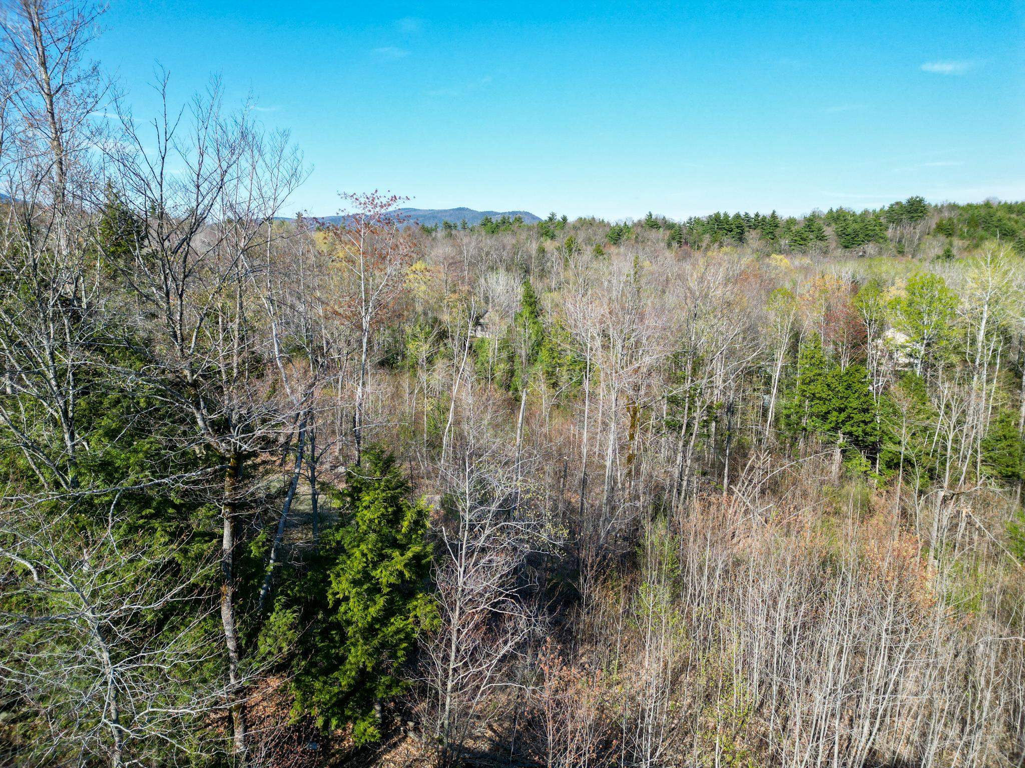 64 Grandview Road Conway, NH 03818 - Photo 7 of 15