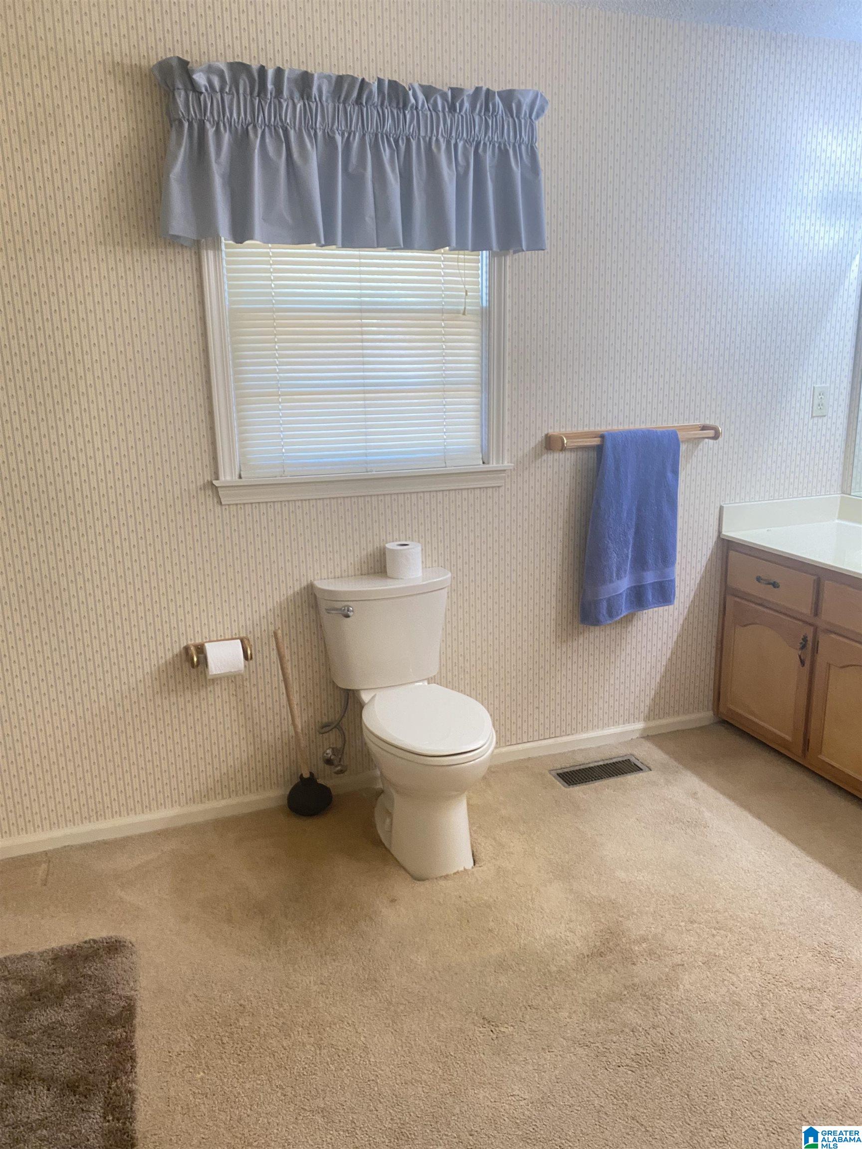 265 McMillan Road Brent, AL 35034 - Photo 23 of 35