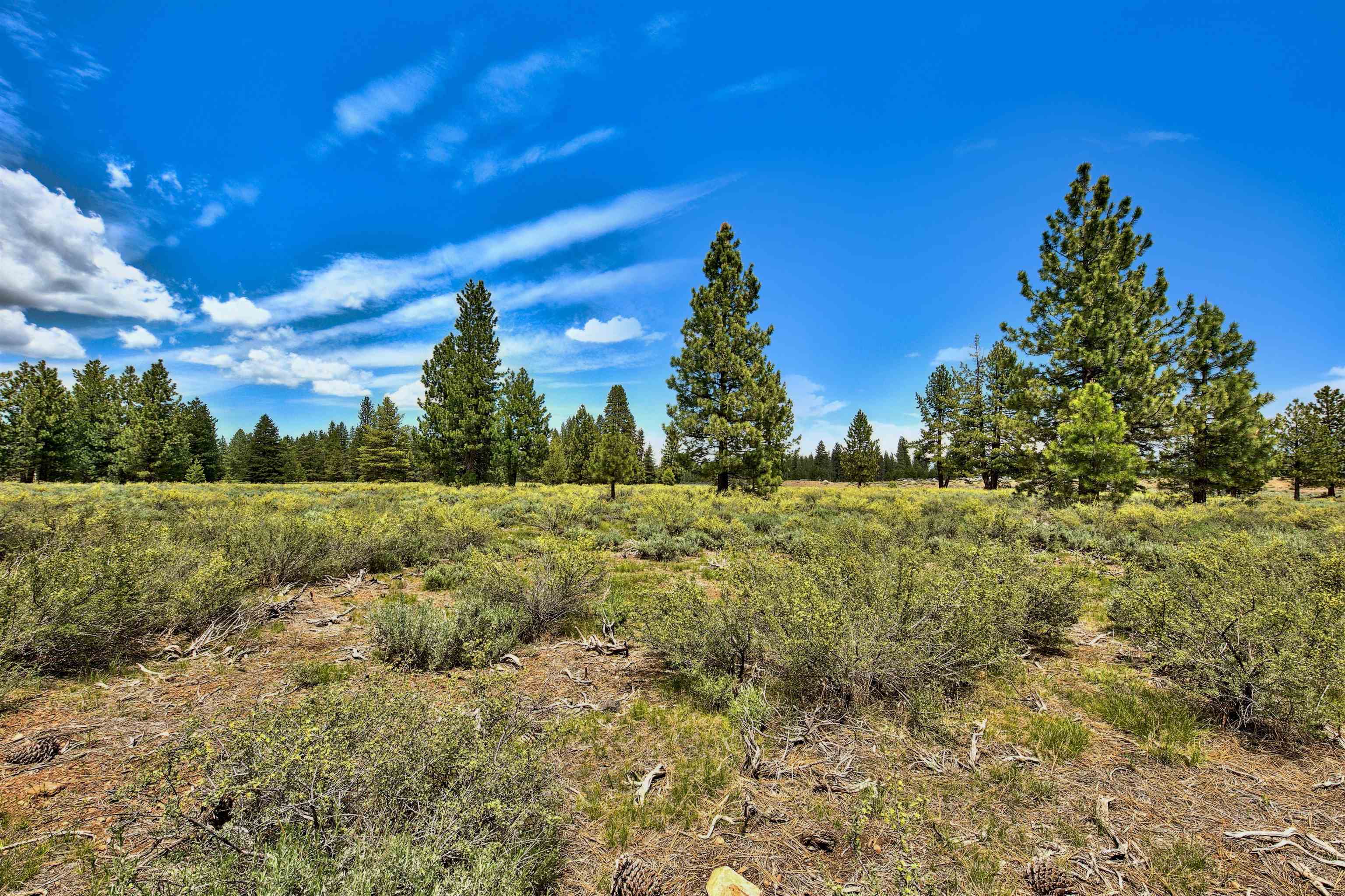 11467 Brockway Road Truckee, CA 96161 - Photo 14 of 21