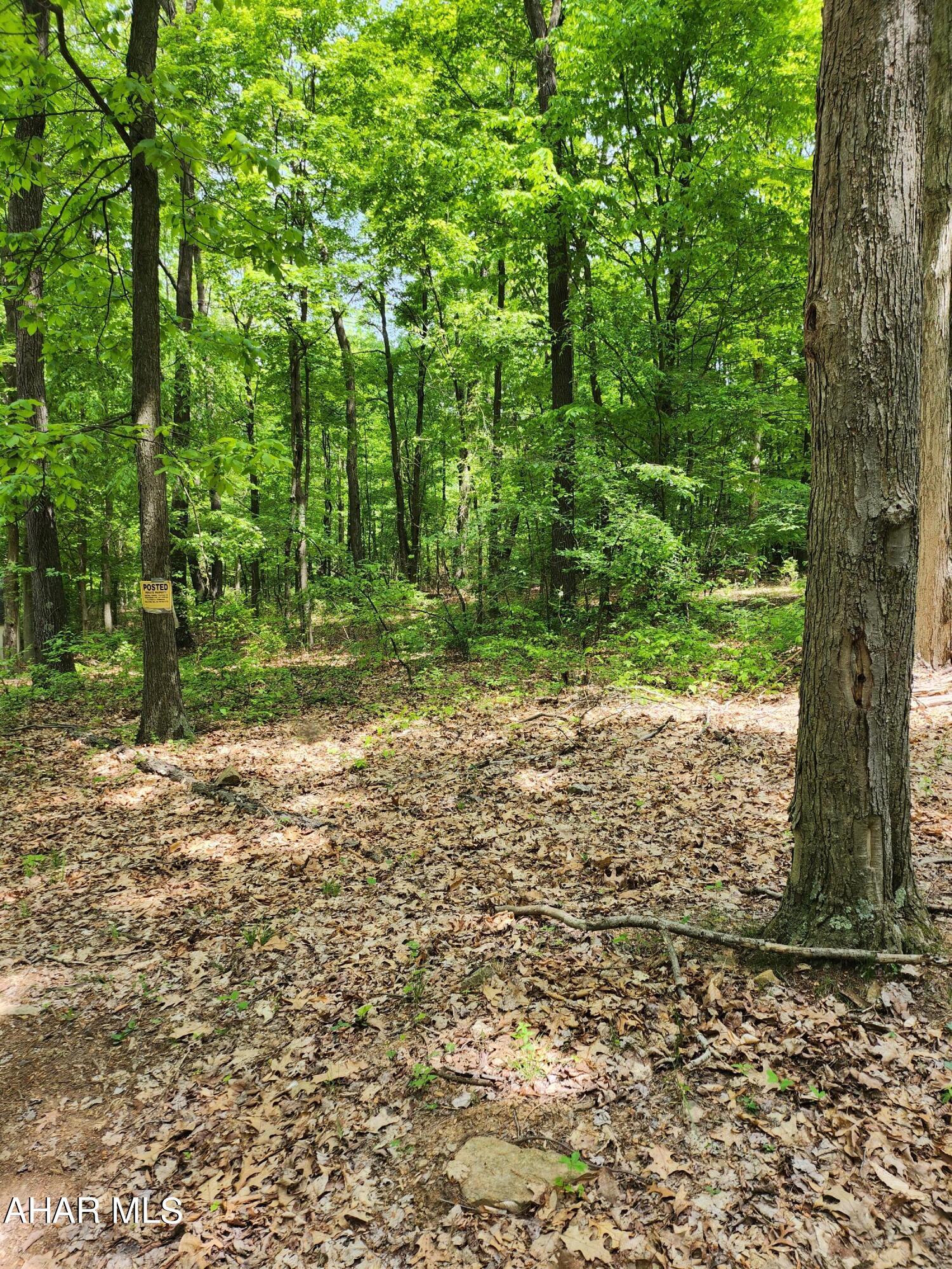 0 Mosquito Hollow Road Six Mile Run, PA 16679 - Photo 10 of 29