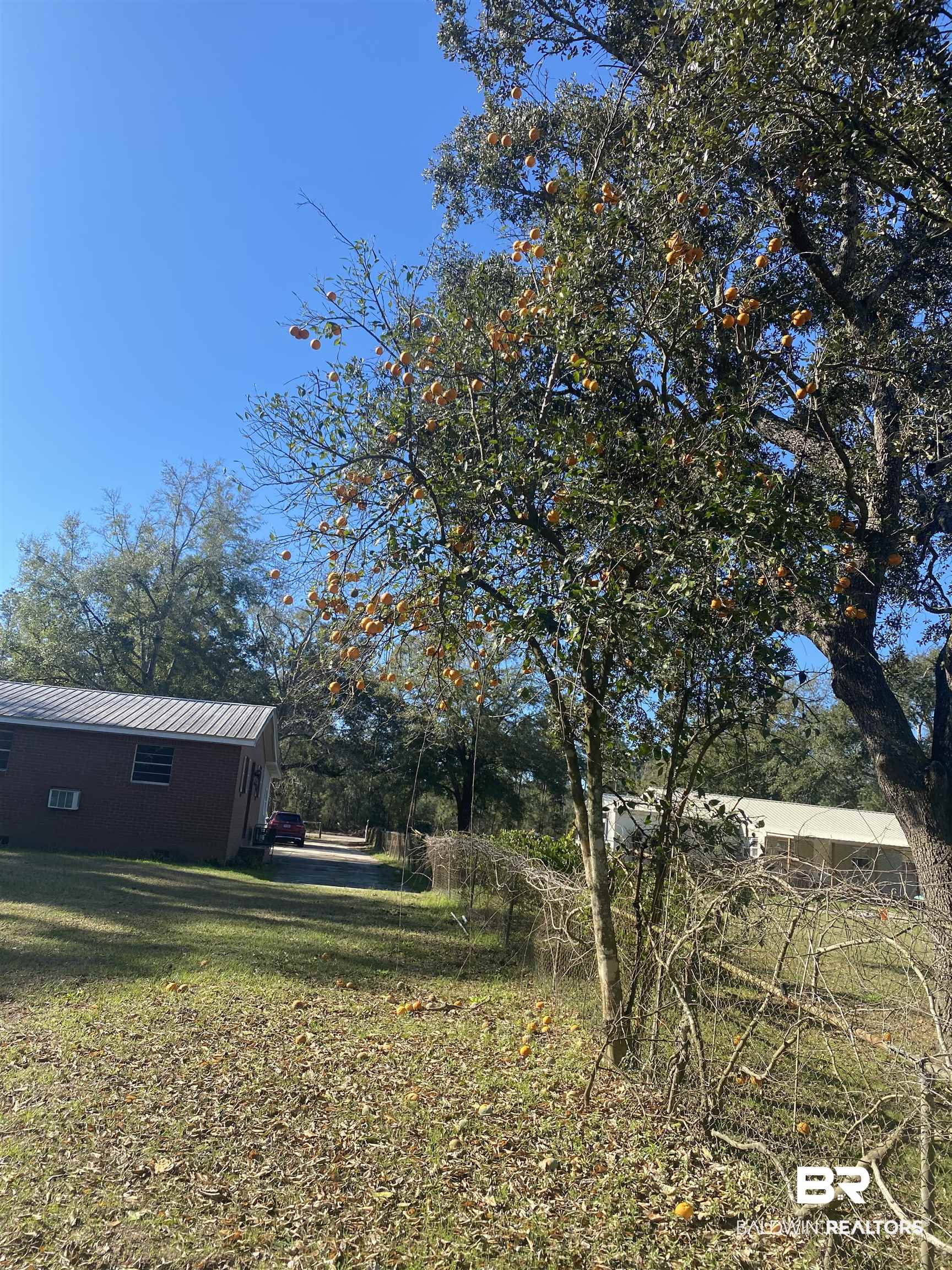 33805 Lost River Road Seminole, AL 36574 - Photo 27 of 35