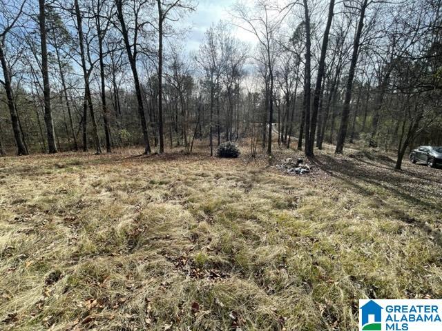 2055 Sprayberry Road Pell City, AL 35125 - Photo 6 of 11