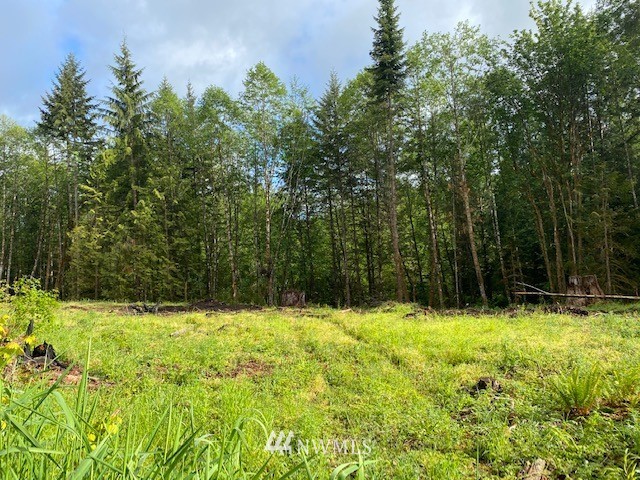 2 Ramsaur Road Centralia, WA 98531 - Photo 14 of 15 Gallery Image 14