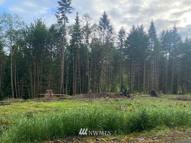 2 Ramsaur Road Centralia, WA 98531 - Photo 3 of 15 Gallery Image 3