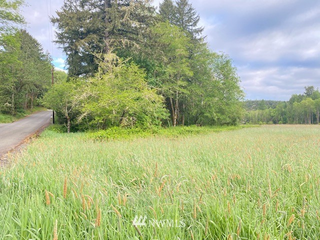 2 Ramsaur Road Centralia, WA 98531 - Photo 7 of 15 Gallery Image 7