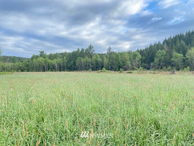 2 Ramsaur Road Centralia, WA 98531 - Photo 8 of 15 Gallery Image 8