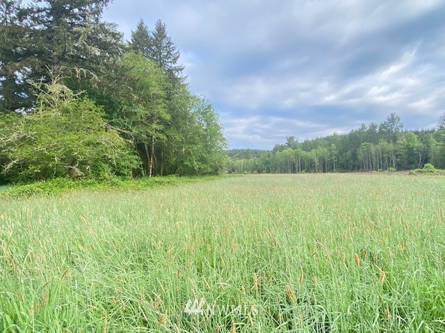 2 Ramsaur Road Centralia, WA 98531 - Photo 9 of 15 Gallery Image 9